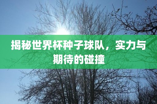 揭秘世界杯种子球队，实力广西贺州市华昌新材料有限公司与期待的碰撞