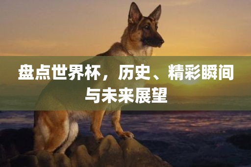 盘点世界杯，历史、精彩瞬间广西贺州市华昌新材料有限公司与未来展望