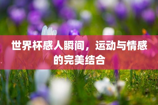世界杯感人瞬间，运动与情感的完美结广西贺州市华昌新材料有限公司合