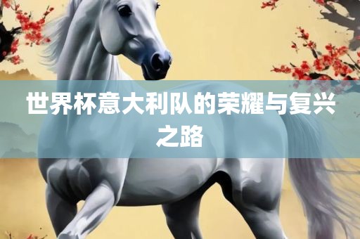 世界杯意大利队的荣耀与复兴之路广西贺州市华昌新材料有限公司