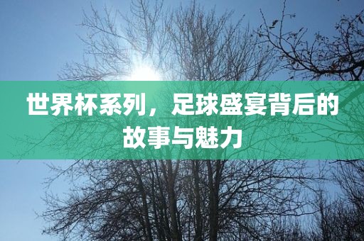 世界杯系列，足球盛宴背后的故事与魅力广西贺州市华昌新材料有限公司