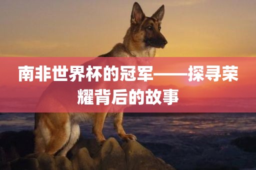 南非世界杯的冠军——探寻荣耀背后的故事