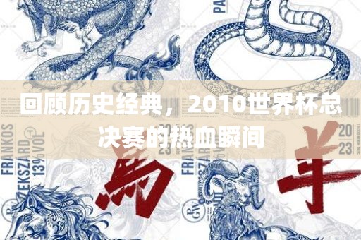 回顾历史经典，2010世界杯总决赛的热血瞬间
