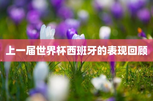 上一届世界杯西班牙的表现回顾广西贺州市华昌新材料有限公司