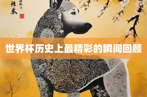 世界杯历史上最精彩的瞬间回顾广西贺州市华昌新材料有限公司
