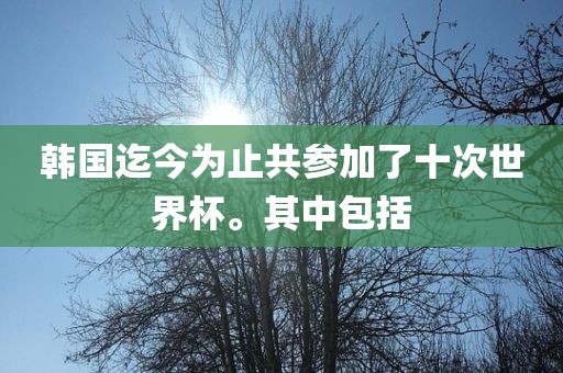 韩国迄今为止共参加了十次世界杯。其中包括广西贺州市华昌新材料有限公司
