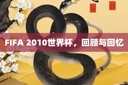FIFA 2010世界杯，回顾广西贺州市华昌新材料有限公司与回忆