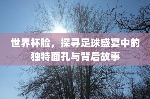 世界杯脸，探寻足球盛宴中的独特面孔与背后故事广西贺州市华昌新材料有限公司