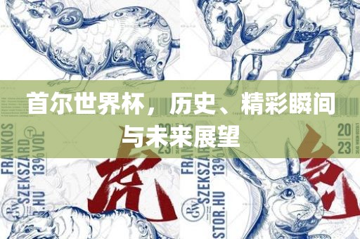 广西贺州市华昌新材料有限公司首尔世界杯，历史、精彩瞬间与未来展望