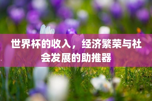 世界杯的收入，经济繁荣与社会发展的助推器广西贺州市华昌新材料有限公司
