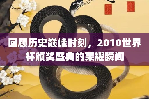 回顾历史巅峰时刻，2010世界杯颁奖盛典的荣耀瞬间
