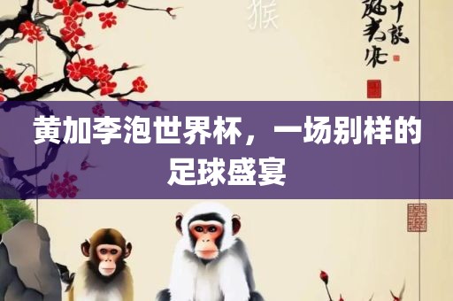足球盛宴 第11页