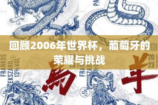 回顾2006年世界杯，葡萄牙的荣耀与挑战广西贺州市华昌新材料有限公司