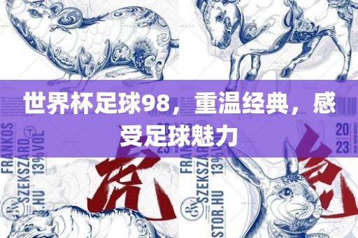 世界杯足球98，重温经典，感受足球魅力广西贺州市华昌新材料有限公司