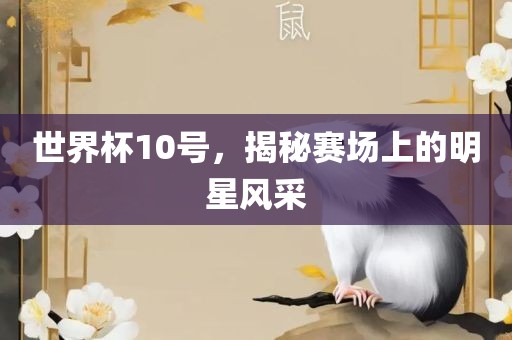 世界杯10号，揭秘赛场上的明星风采广西贺州市华昌新材料有限公司