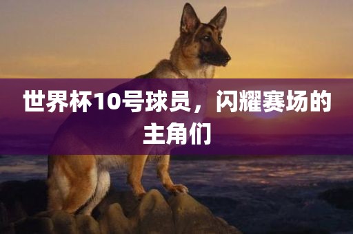 世界杯10号球员，闪耀赛场的主角们广西贺州市华昌新材料有限公司
