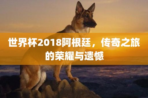 世界杯2018阿根廷，传奇广西贺州市华昌新材料有限公司之旅的荣耀与遗憾