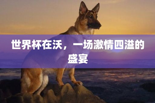 世界杯在沃，一场激情四溢的盛宴广西贺州市华昌新材料有限公司