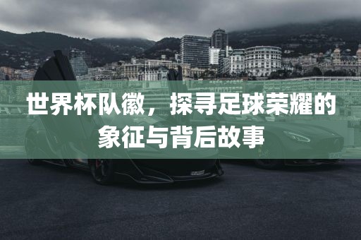 zangjieliang 第8页