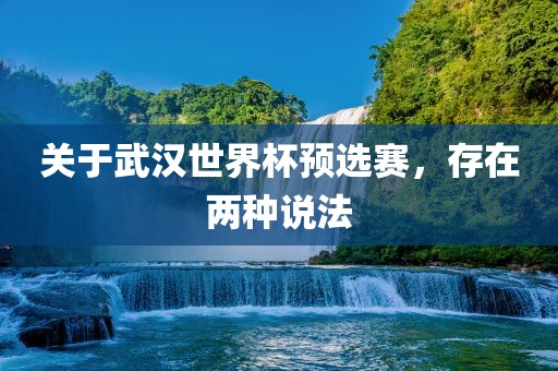 关于武汉世界杯预选赛，存在两种说法广西贺州市华昌新材料有限公司