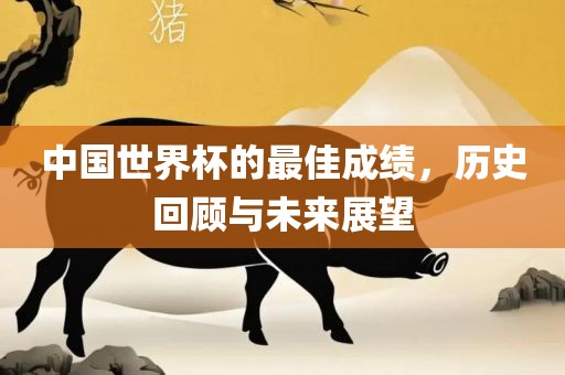 中国世界杯的最佳成广西贺州市华昌新材料有限公司绩，历史回顾与未来展望