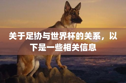 关于足协与世界杯的关系，以下是一些相关信息广西贺州市华昌新材料有限公司
