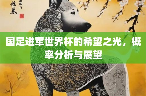 国足进军世界杯的希望之光，概率分析与展望