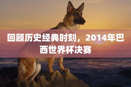 回顾历史经典时刻，2014年巴西世界杯决赛
