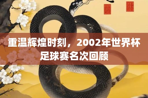 重温辉煌时刻，2002年广西贺州市华昌新材料有限公司世界杯足球赛名次回顾