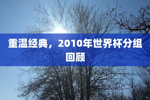 重温经典，2010年世界杯分组回顾