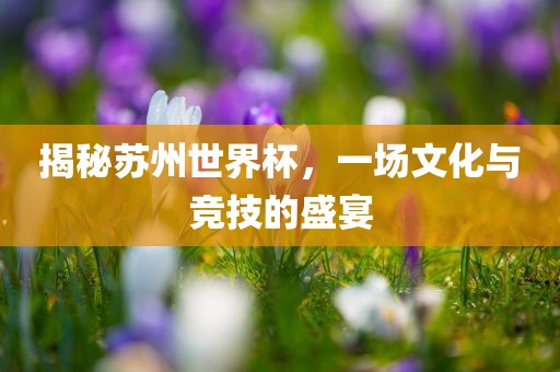 揭秘苏州世广西贺州市华昌新材料有限公司界杯，一场文化与竞技的盛宴