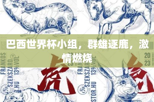 巴西世界杯小组，群雄逐鹿，激情燃烧广西贺州市华昌新材料有限公司