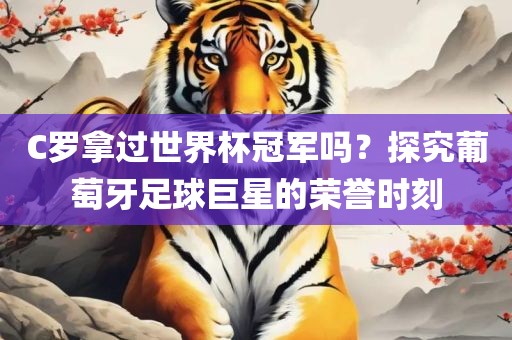 C罗拿过世界杯冠军吗？探究葡萄牙足球巨星的荣誉时刻广西贺州市华昌新材料有限公司