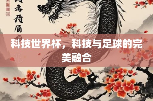 科技世界杯，科技与足球的完美融合广西贺州市华昌新材料有限公司