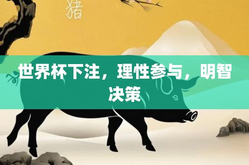 世界杯下注，理性参与，明智决策