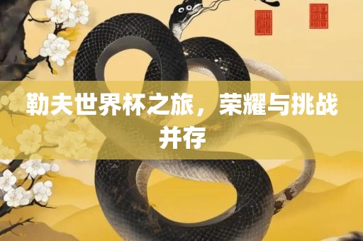 勒夫世界杯之旅，荣耀与挑战并存