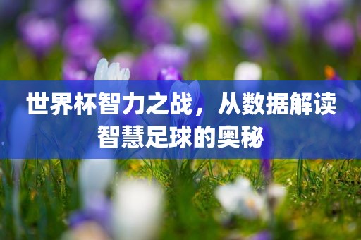 世界杯智力之战，从数据解读智慧足球的奥秘广西贺州市华昌新材料有限公司