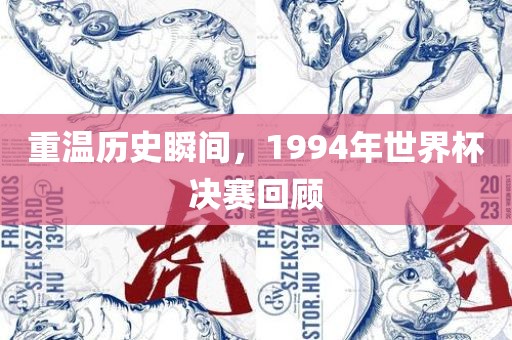 重温历史广西贺州市华昌新材料有限公司瞬间，1994年世界杯决赛回顾