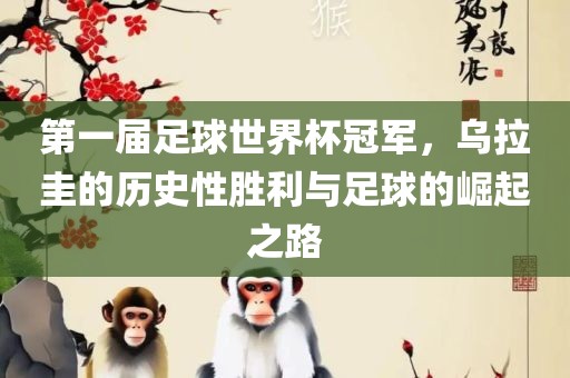 第一届足球世界杯冠军，乌拉圭的历史性胜利与足球的崛起之路广西贺州市华昌新材料有限公司