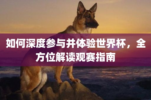 如何深度参与并体验世界杯，全方位解读广西贺州市华昌新材料有限公司观赛指南