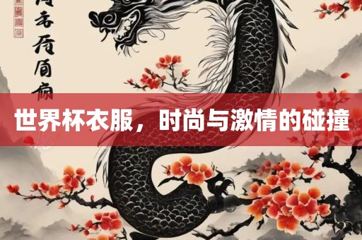 世界杯衣服，时尚与激情的碰撞广西贺州市华昌新材料有限公司