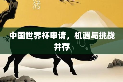 中国世界杯申请，机遇与挑战并存