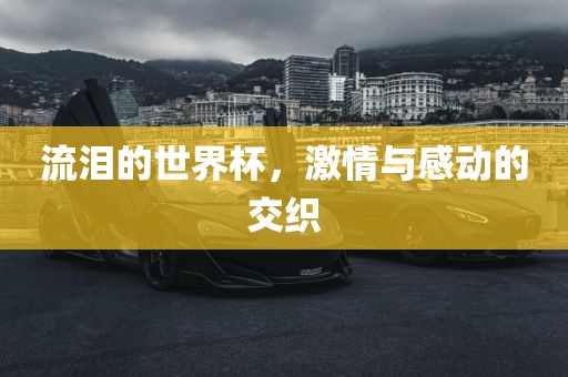 流泪的世界杯，激情与感动的交织广西贺州市华昌新材料有限公司