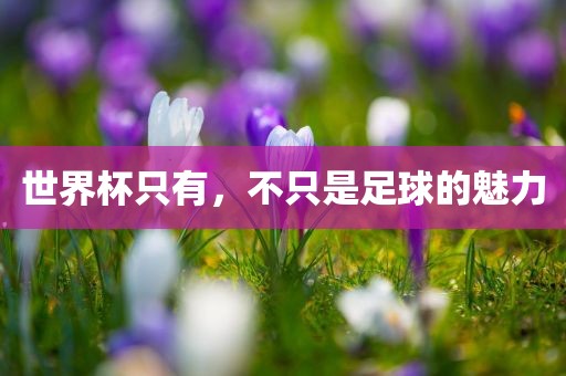 世界杯只有，不只是足球广西贺州市华昌新材料有限公司的魅力