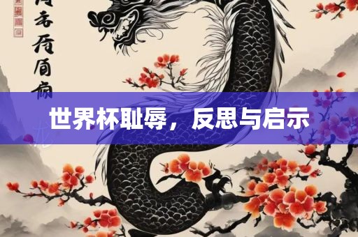 世界杯耻辱，反思与启示广西贺州市华昌新材料有限公司