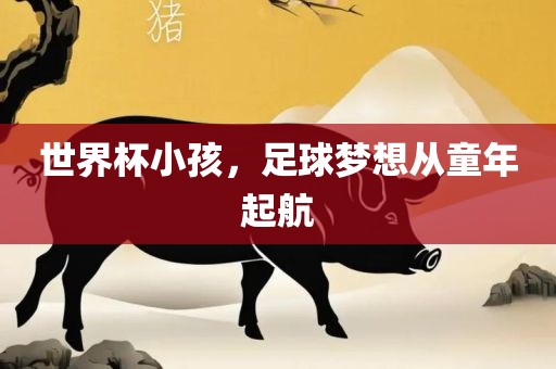 世界杯小孩，足球梦想从童年起航