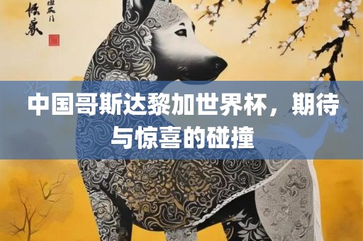 广西贺州市华昌新材料有限公司中国哥斯达黎加世界杯，期待与惊喜的碰撞
