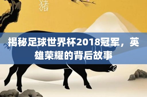 揭秘足球世界杯2018冠军，英雄荣耀的背后故事广西贺州市华昌新材料有限公司