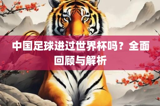 中国足球进过世界杯吗？全面回顾与解析广西贺州市华昌新材料有限公司