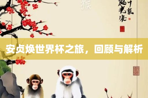 安贞焕世界杯之旅，回顾与解析